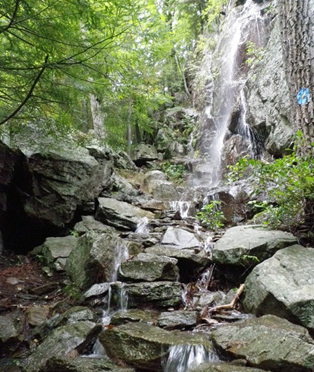 Jessie Gerard Trail (blue/yellow dot):