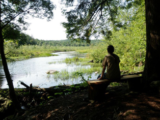 Pond Trail Pond Trail (Green)