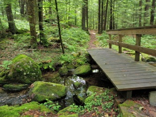 Robert Ross Trail (blue):